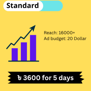 Facebook Boost – Standard
